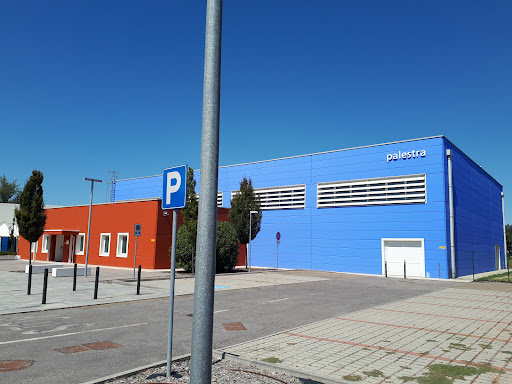 Palestra Arpad Weisz