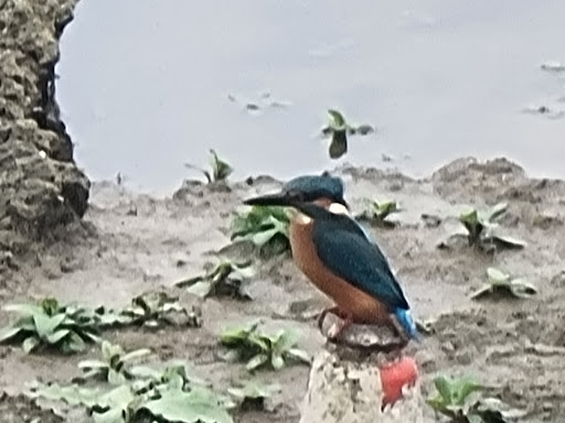 Herons Green Bay Parking - Thumbnail