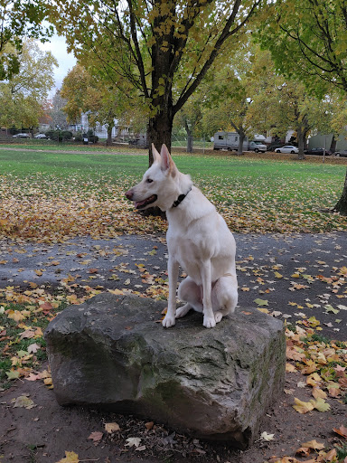 Denorval Unthank City Park - Thumbnail