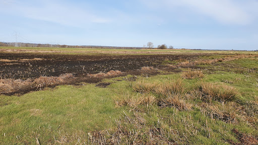 Langenhaken Feuchtwiese Hochmoor / Übergangsmoor Oldershausen