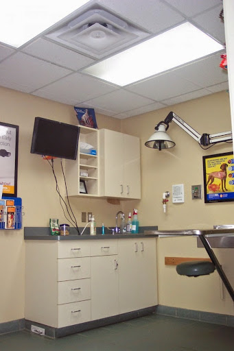 VCA North Division Animal Medical Center