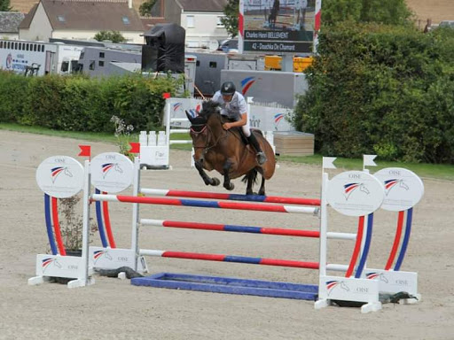 Pony Club Equestrian Center Du Terrier Blanc - Thumbnail