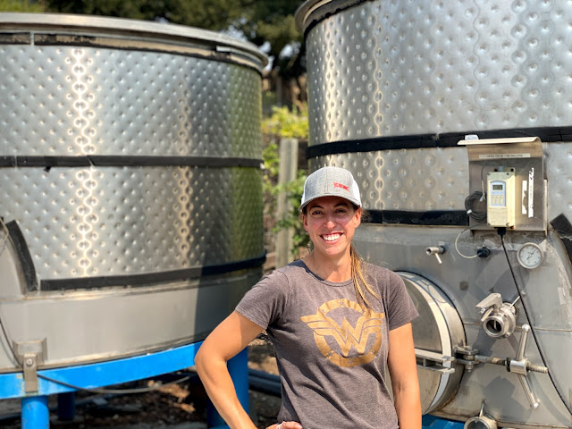 Rooted Vine Wine Tours by null