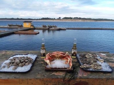 Jetty Fishery Marina & RV Park