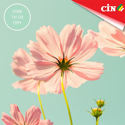 Photo n°3 de CARL A Peintures à Meximieux (Magasin de peintures)