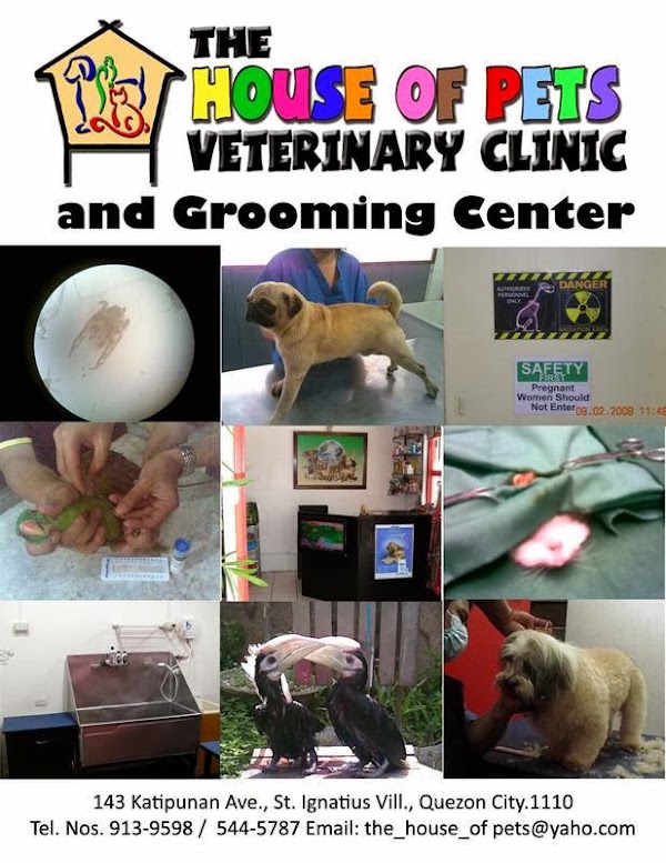 THE HOUSE OF PETS VETERINARY CLINIC, Quezon City — address, phone