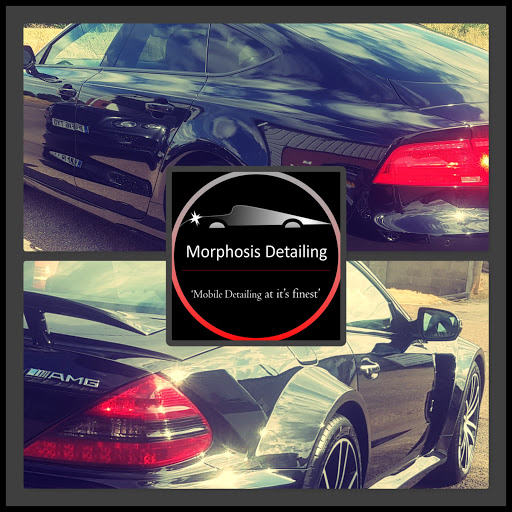 Morphosis Detailing - Visual