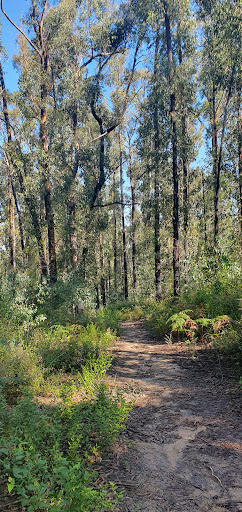 Mortimer Picnic Ground Gallery - Australia