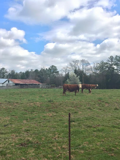 Ag + Art Tour Lancaster County - Thumbnail