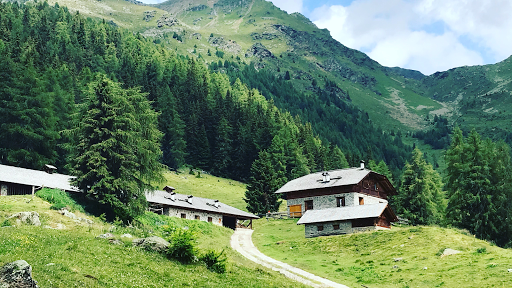 Malga Caldesa bassa