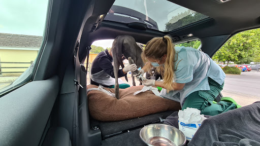 Okeford Veterinary Centre - Okehampton - Thumbnail
