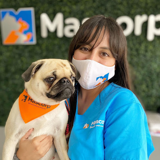 Hospital Veterinario Mascorp Cuernavaca