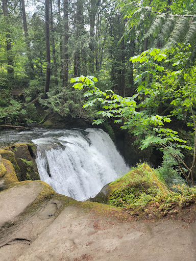 Whatcom Falls Park - Thumbnail