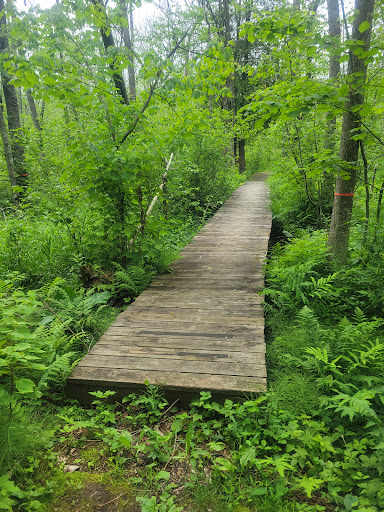 Woodland Dunes State Natural Area - United States