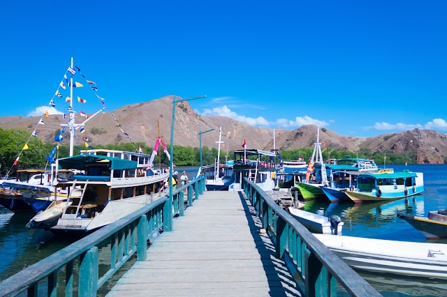 Komodo National Park