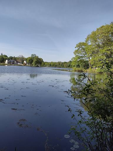 Island Grove Park - Thumbnail