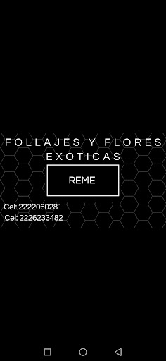 Follajes y Flores Exóticas "Reme" Logo