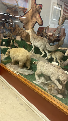 J Spencer Watkins Museum Gallery - United States