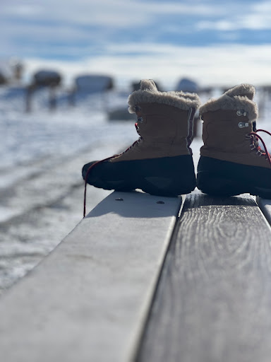 Carbon County Ice Rink Gallery - United States