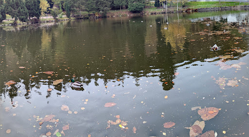 Bergsee - Thumbnail