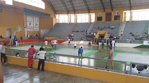 Coliseo Municipal Jose I. Tavara Pasapera 0