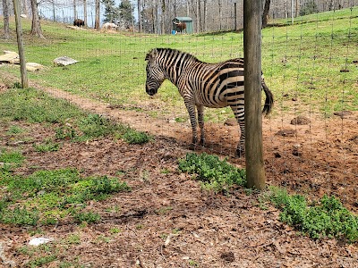 Chestatee Wildlife Preserve & Zoo