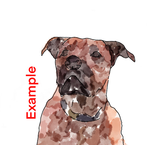 PetPortraitsByEvey - Thumbnail