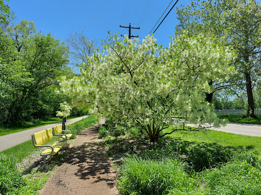 Women's Park Gallery - United States