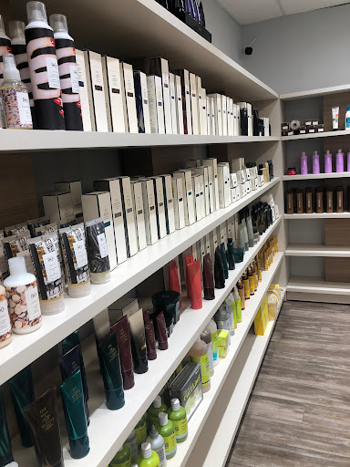 Cavalry Salon - Visual