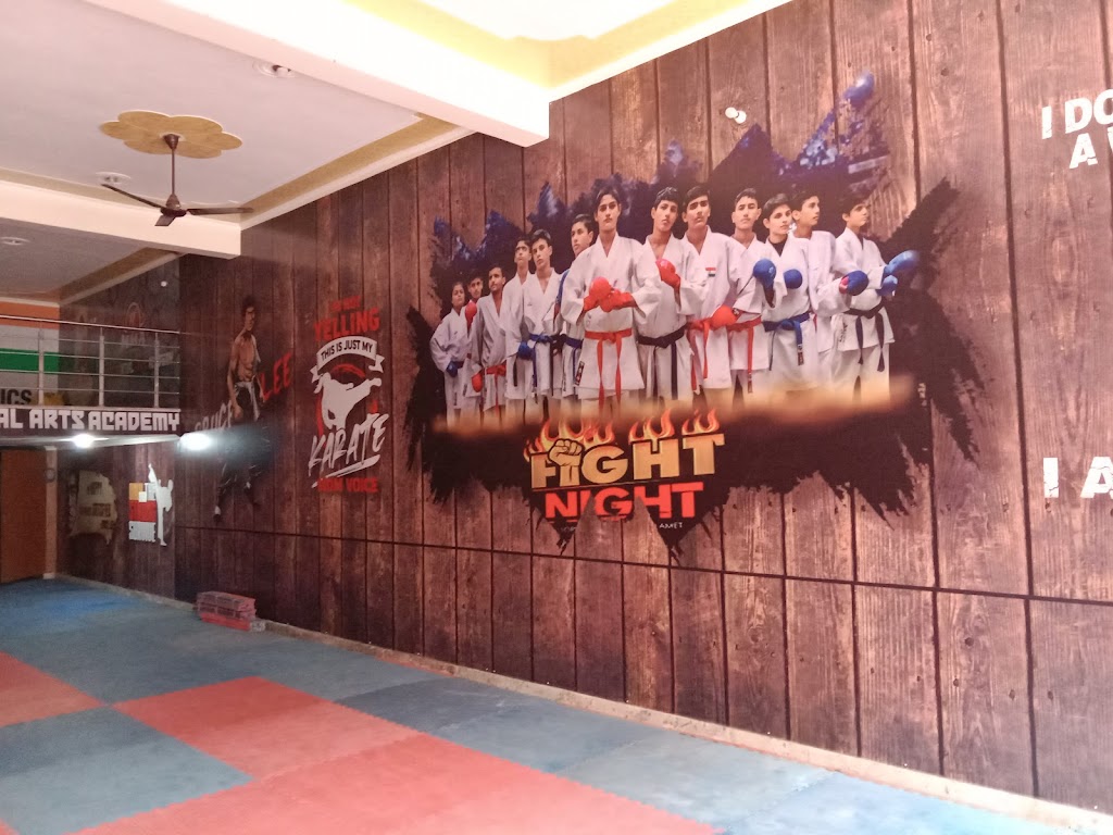 Meham Martial Arts Academy
