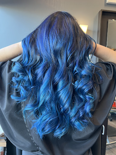 Phase Salon - Visual