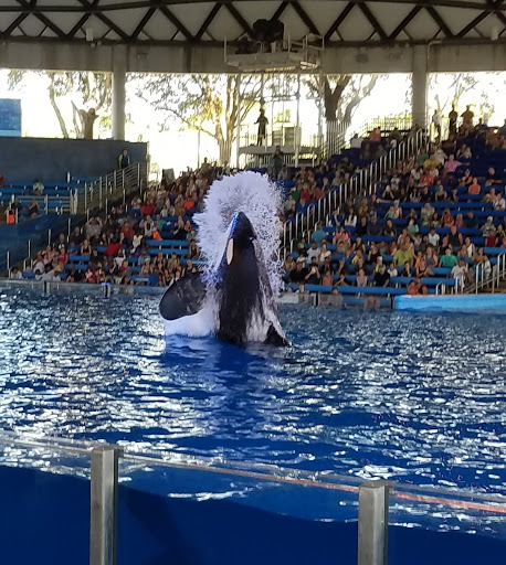 Aquatica San Antonio - Thumbnail