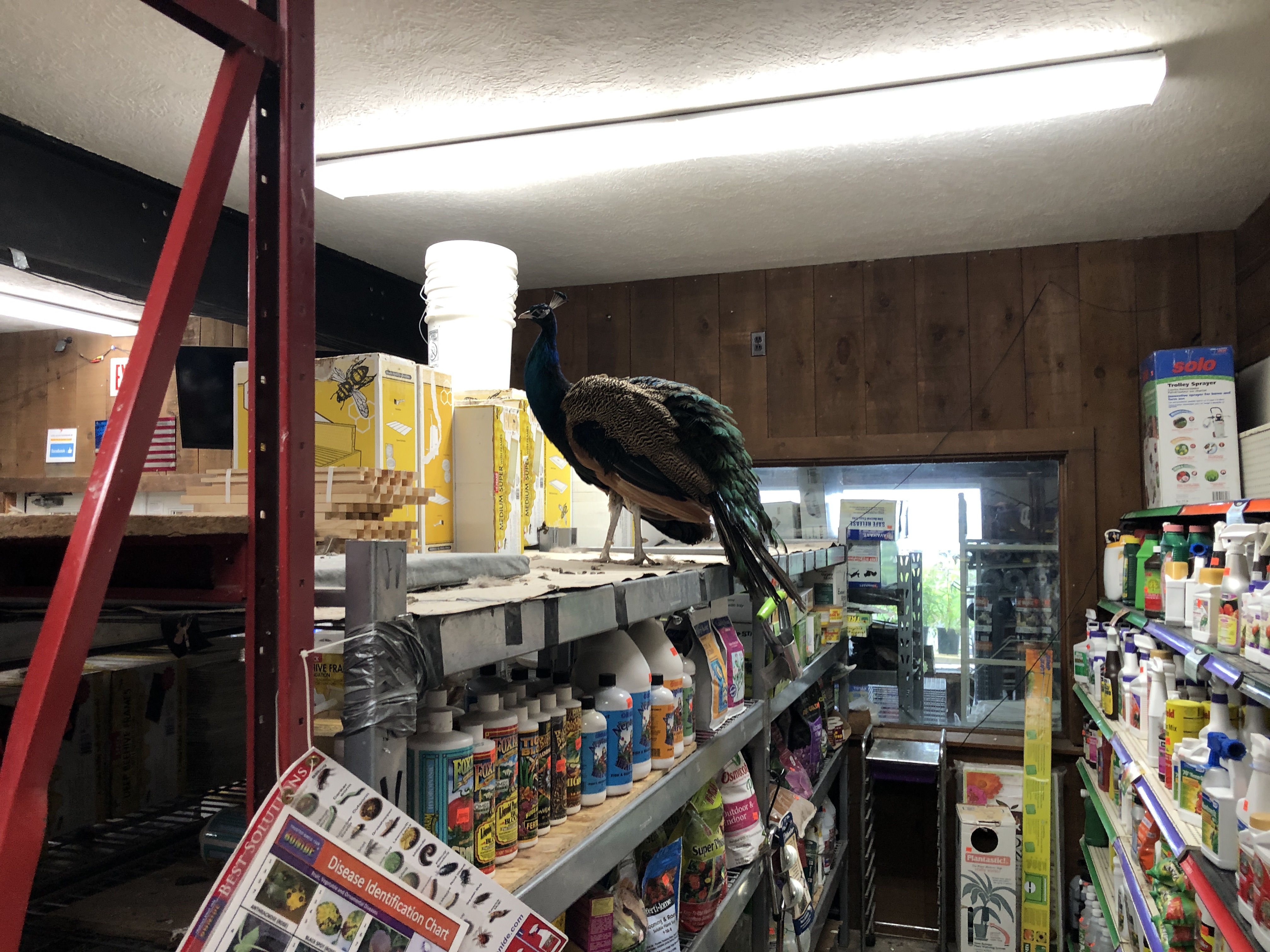 Family Pet & Garden Center