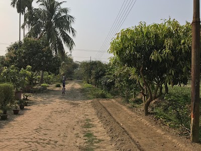 Photos of Bangladesh Agricultural Development Corporation (BADC), Comilla