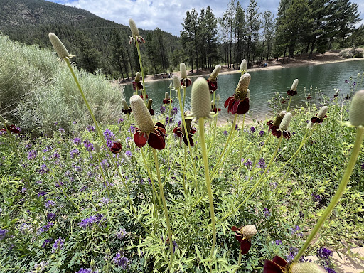 Eagle Rock Lake - Thumbnail