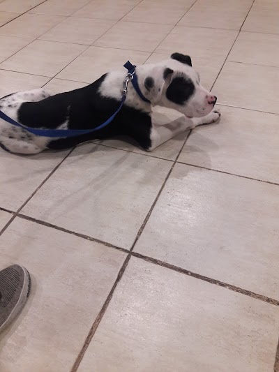Photos of veterinaria santa rita