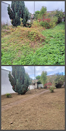 Photo n°15 de EJVDM à Ormesson-sur-Marne (Service d'élagage)