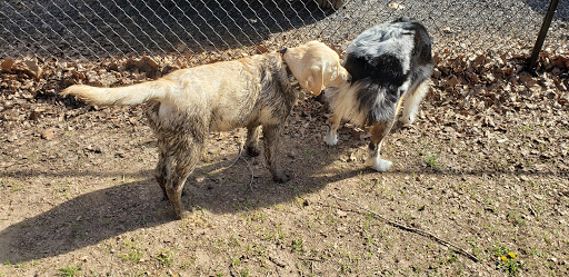 Cahaba Dog Park - Thumbnail