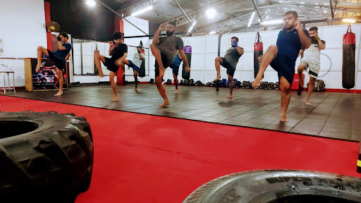 LION MUAYTHAI CLUB(LMC)