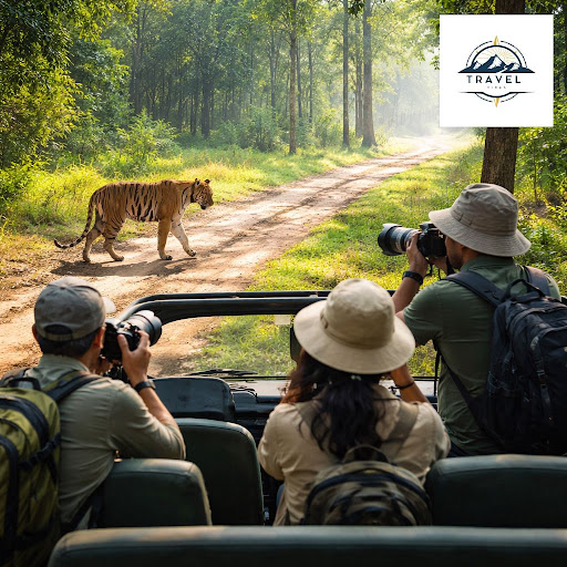 Ready to escape the city and experience the wild up close? Skyway Travel vibes in 53, Bengaluru d… post image