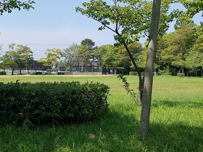 湊野球場