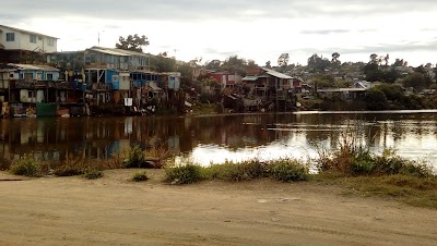 Photos of Estuario De Cartagena