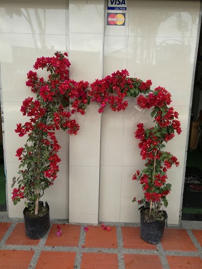 Photos of D&iacute;galo con Flores