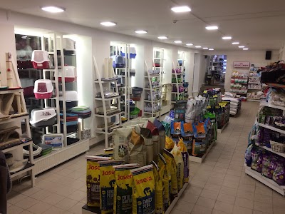 Photos of paw house