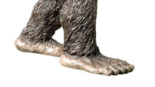 Foot Country