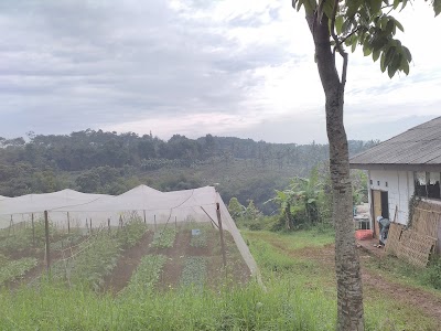 Photos of Kebun Percobaan Ciparanje Universitas Padjadjaran