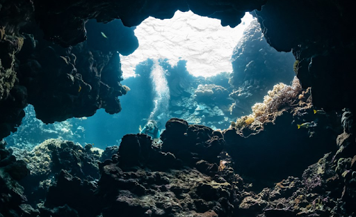 SUNY TRAVEL Viajes de buceo al Mar Rojo - Thumbnail