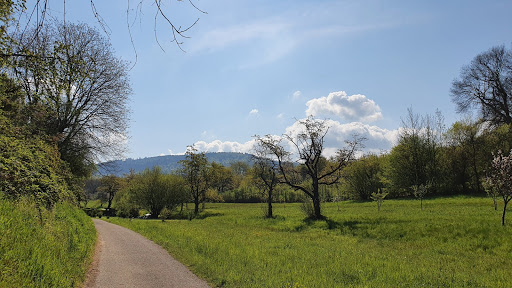 Keschteweg - Thumbnail