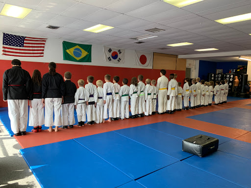 Stan Lee's United Martial Arts. - Thumbnail