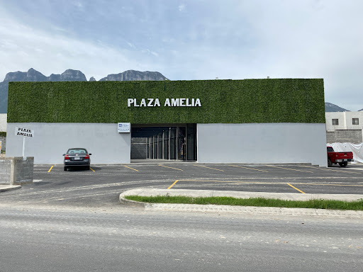Plaza Amelia - Thumbnail